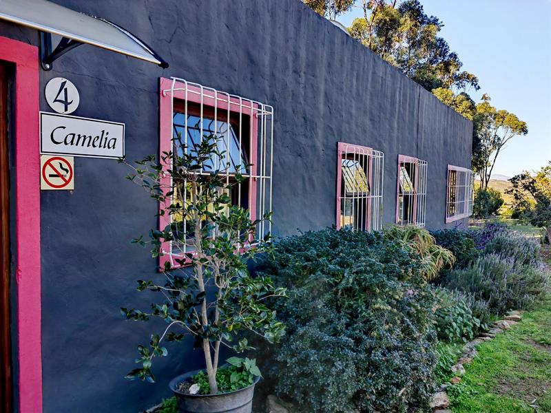 10 Bedroom Property for Sale in Montagu Western Cape